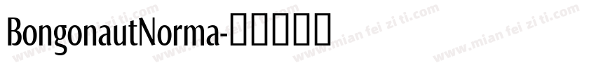 BongonautNorma字体转换