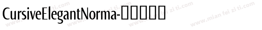 CursiveElegantNorma字体转换