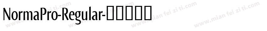 NormaPro-Regular字体转换
