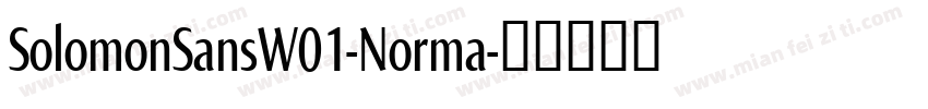 SolomonSansW01-Norma字体转换