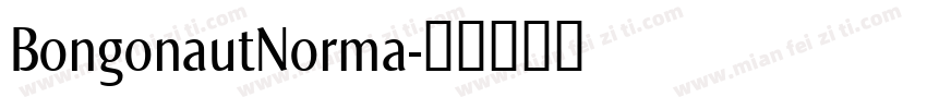 BongonautNorma字体转换