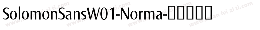 SolomonSansW01-Norma字体转换