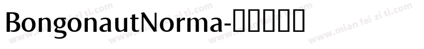 BongonautNorma字体转换