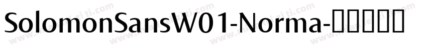 SolomonSansW01-Norma字体转换