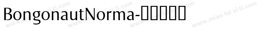 BongonautNorma字体转换