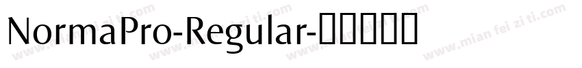 NormaPro-Regular字体转换