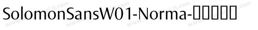 SolomonSansW01-Norma字体转换