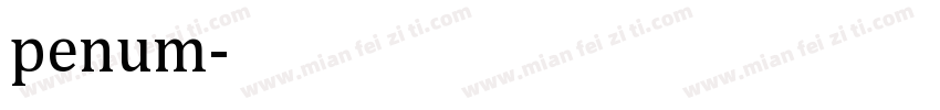penum字体转换