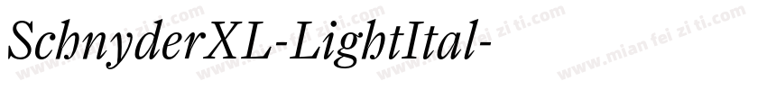 SchnyderXL-LightItal字体转换
