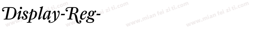 Display-Reg字体转换