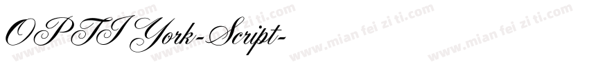 OPTIYork-Script字体转换