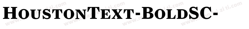HoustonText-BoldSC字体转换