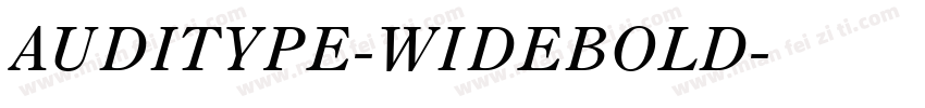 AUDITYPE-WIDEBOLD字体转换