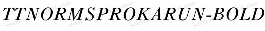 TTNORMSPROKARUN-BOLD字体转换