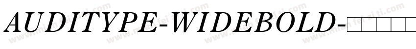 AUDITYPE-WIDEBOLD字体转换