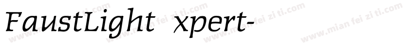 FaustLightExpert字体转换