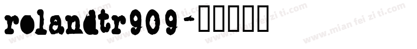RolandTR909字体转换