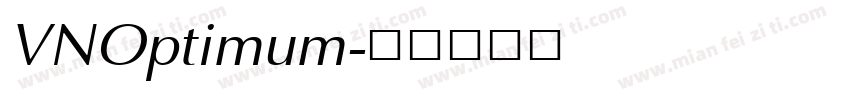 VNOptimum字体转换