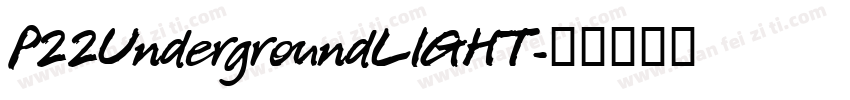 P22UndergroundLIGHT字体转换