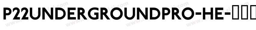 P22UndergroundPro-He字体转换