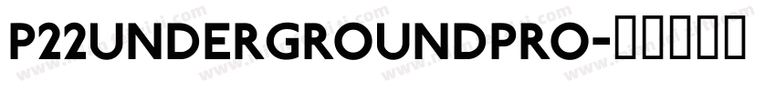 P22UndergroundPro字体转换