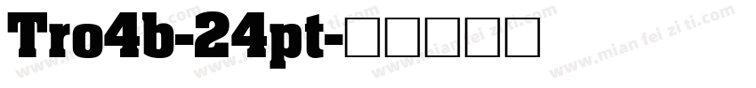 Tro4b-24pt字体转换