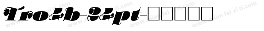 Tro4b-24pt字体转换