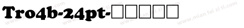 Tro4b-24pt字体转换