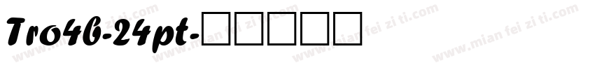 Tro4b-24pt字体转换