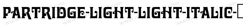 Partridge-Light-Light-Italic字体转换