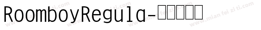 RoomboyRegula字体转换