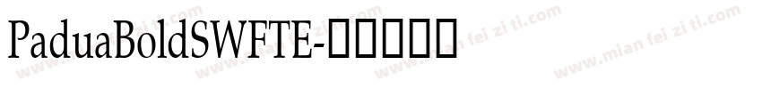 PaduaBoldSWFTE字体转换