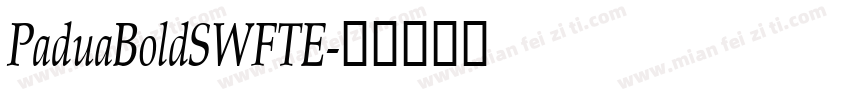 PaduaBoldSWFTE字体转换