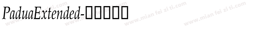 PaduaExtended字体转换