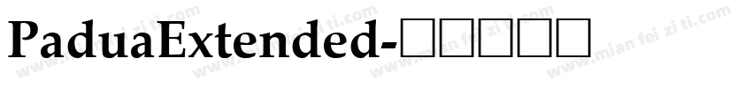 PaduaExtended字体转换