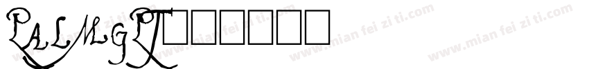PalmGPT字体转换