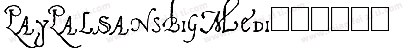 PayPalSansBigMedi字体转换