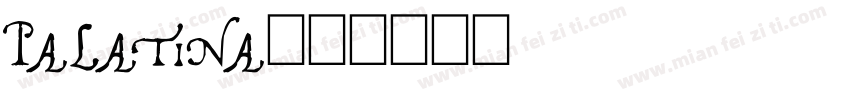 palatina字体转换