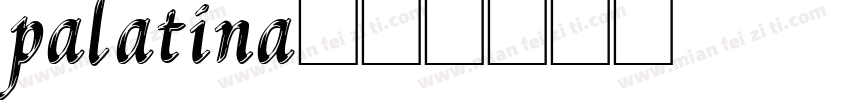 palatina字体转换
