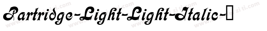 Partridge-Light-Light-Italic字体转换