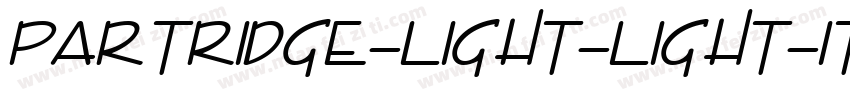 Partridge-Light-Light-Italic字体转换