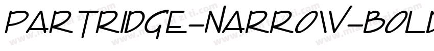 Partridge-Narrow-BoldOblique字体转换