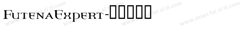 FutenaExpert字体转换