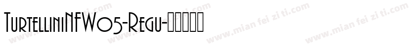 TurtelliniNFW05-Regu字体转换