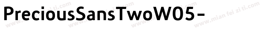 PreciousSansTwoW05字体转换