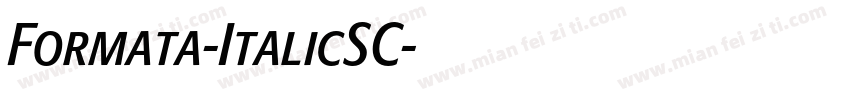 Formata-ItalicSC字体转换