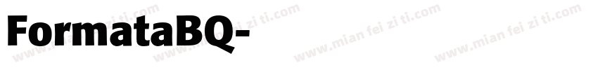 FormataBQ字体转换