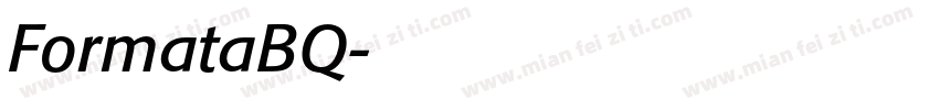FormataBQ字体转换