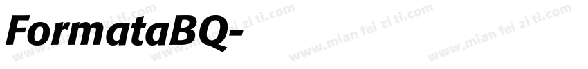 FormataBQ字体转换