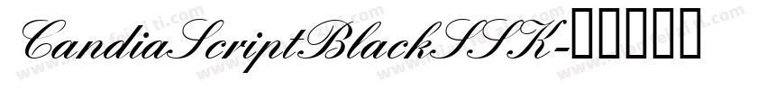CandiaScriptBlackSSK字体转换